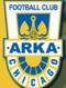 Żółto-Niebieskie kluby: Arka Chicago